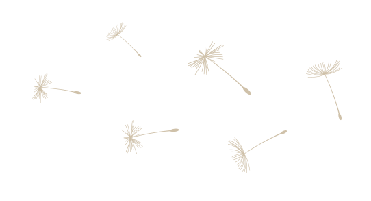 Pusteblume_einzeln Pusteblume_einzeln
