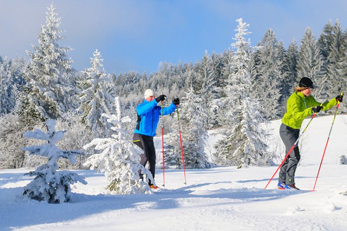 langlauf_header langlauf_header