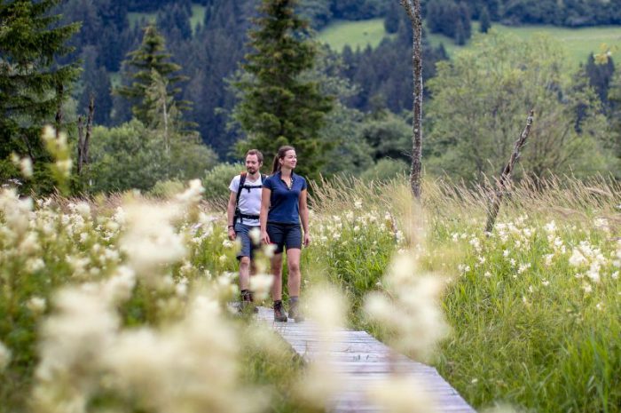 wandern_ wandern_